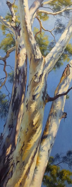 SUNLIGHT AND SHADOW- SOLD