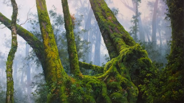 ANCIENT STAND OF ANTARCTIC BEECH  51X90cm