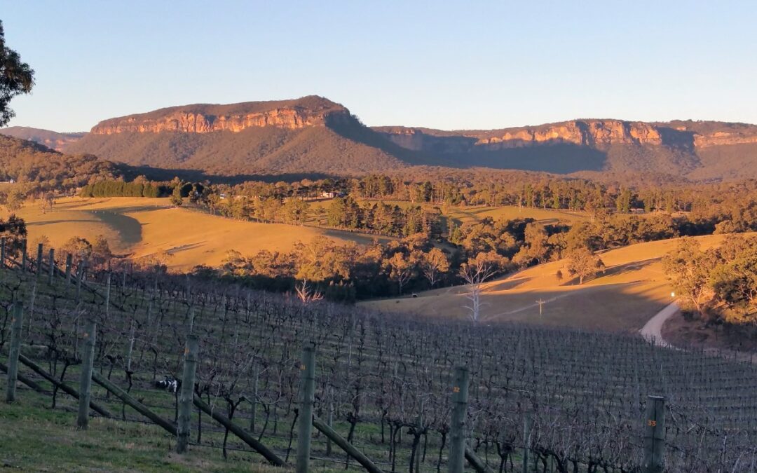 GREAT AFTERNOON IN THE MEGALONG VALLEY