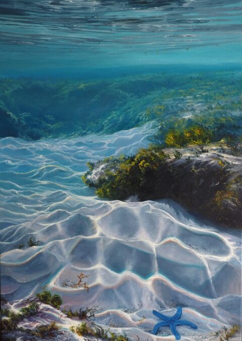 RAINBOWS AND DAPPLED LIGHT