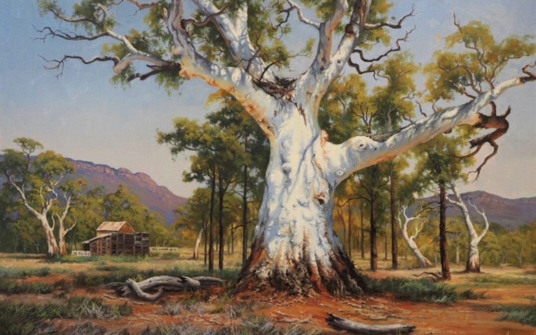 WHITE GIANT OF THE FLINDERS