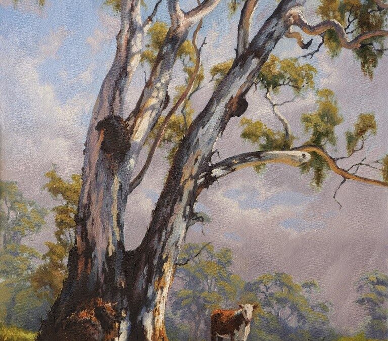 RED GUM OVERLOOKING MICK’S CREEK – sold