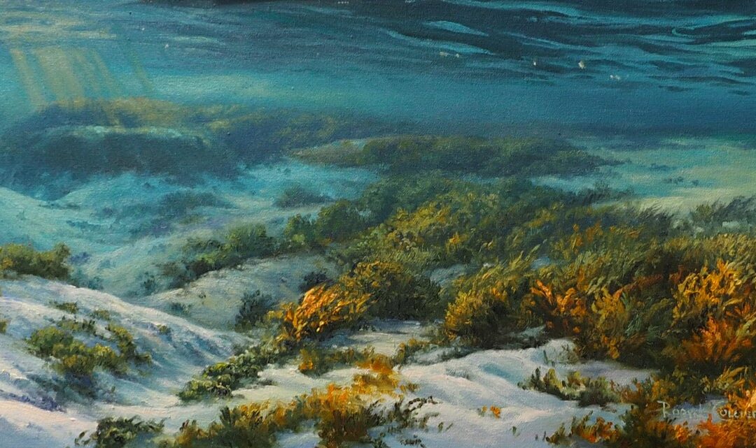 BLUE and GOLD-KALBARRI