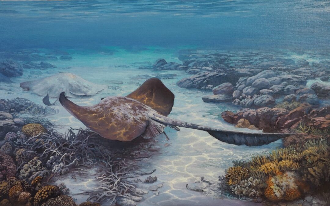 THE RESTING PLACE – COW TAILED RAY