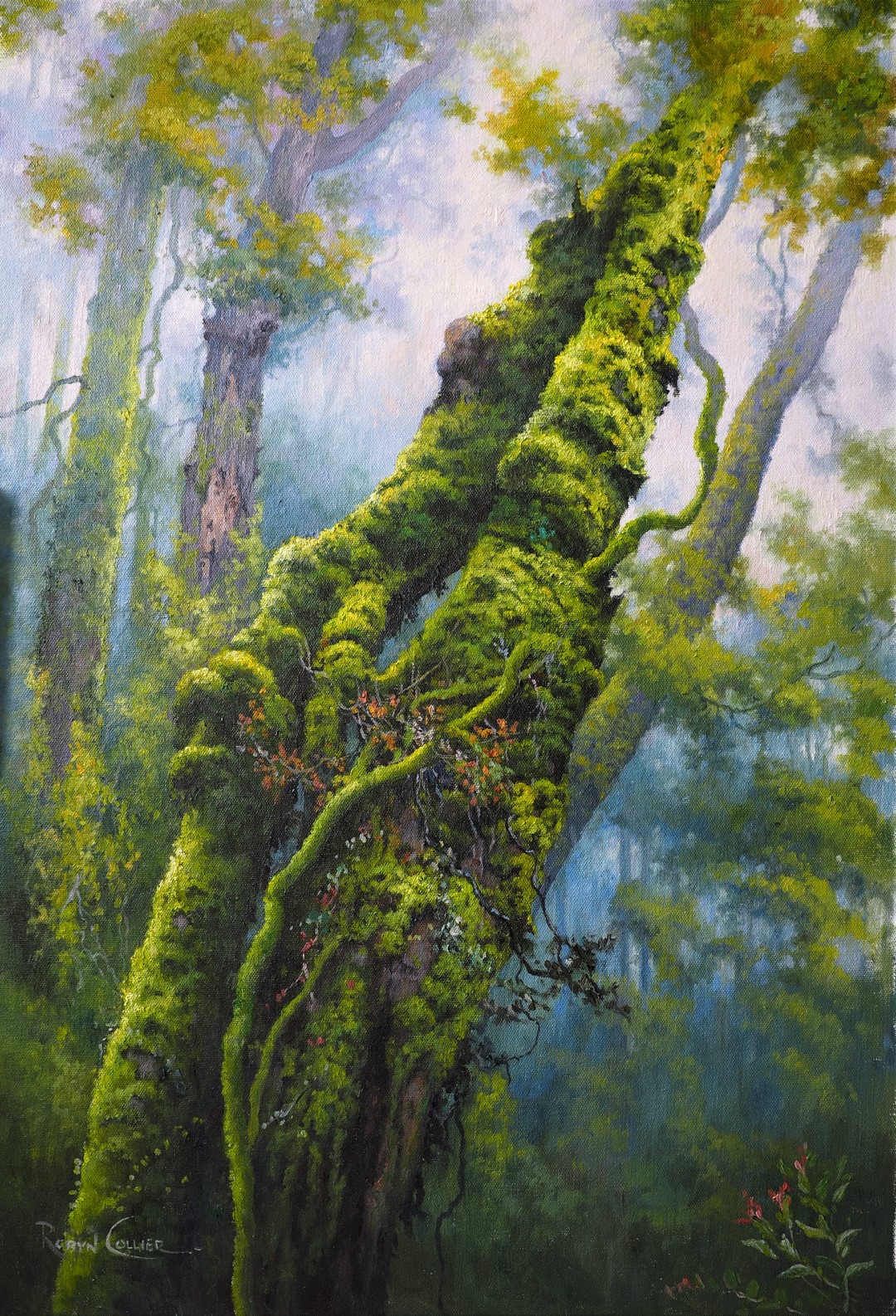 OLYMPUS DIGITAL CAMERA OLYMPUS DIGITAL CAMERA