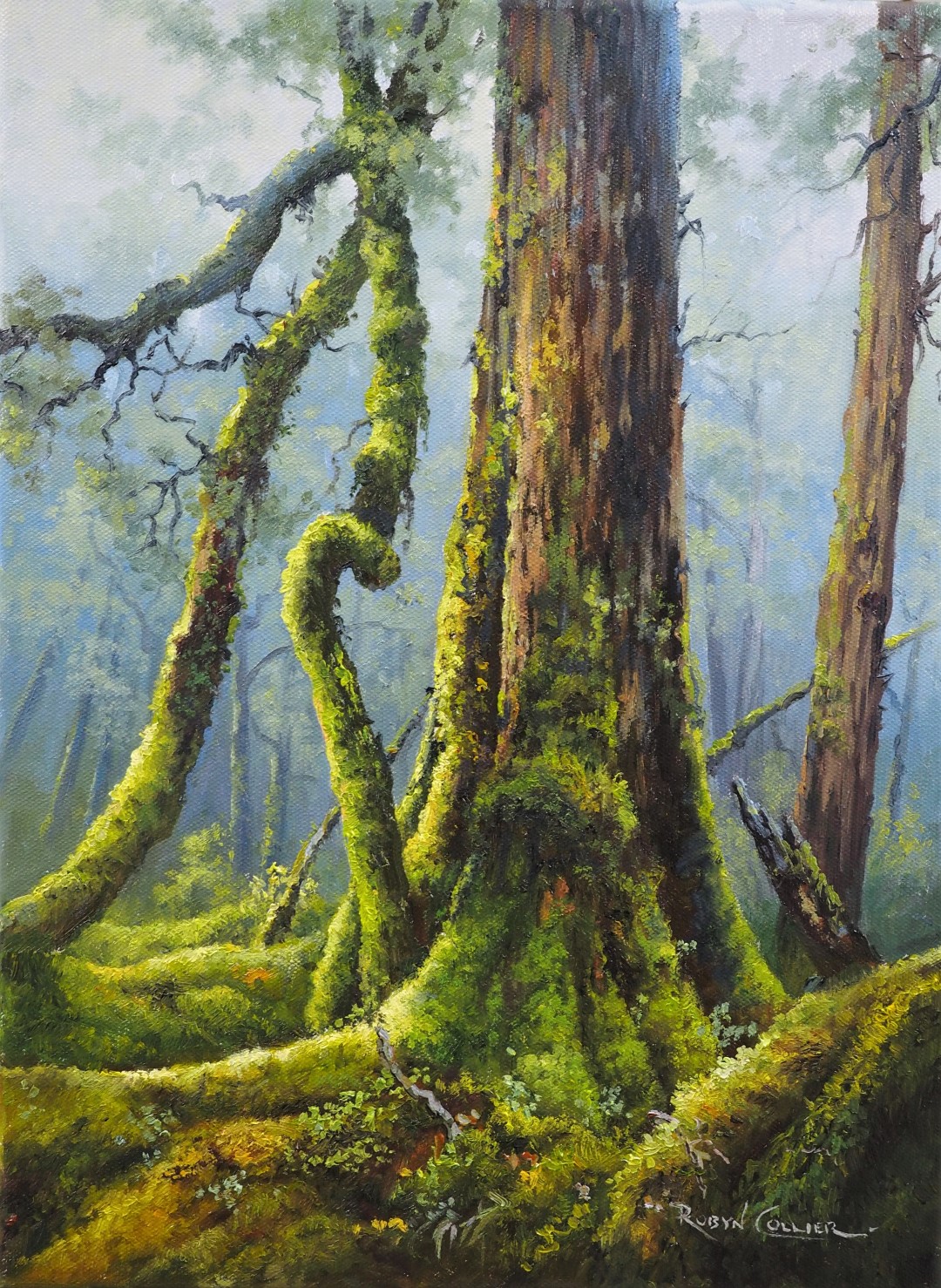 OLYMPUS DIGITAL CAMERA OLYMPUS DIGITAL CAMERA