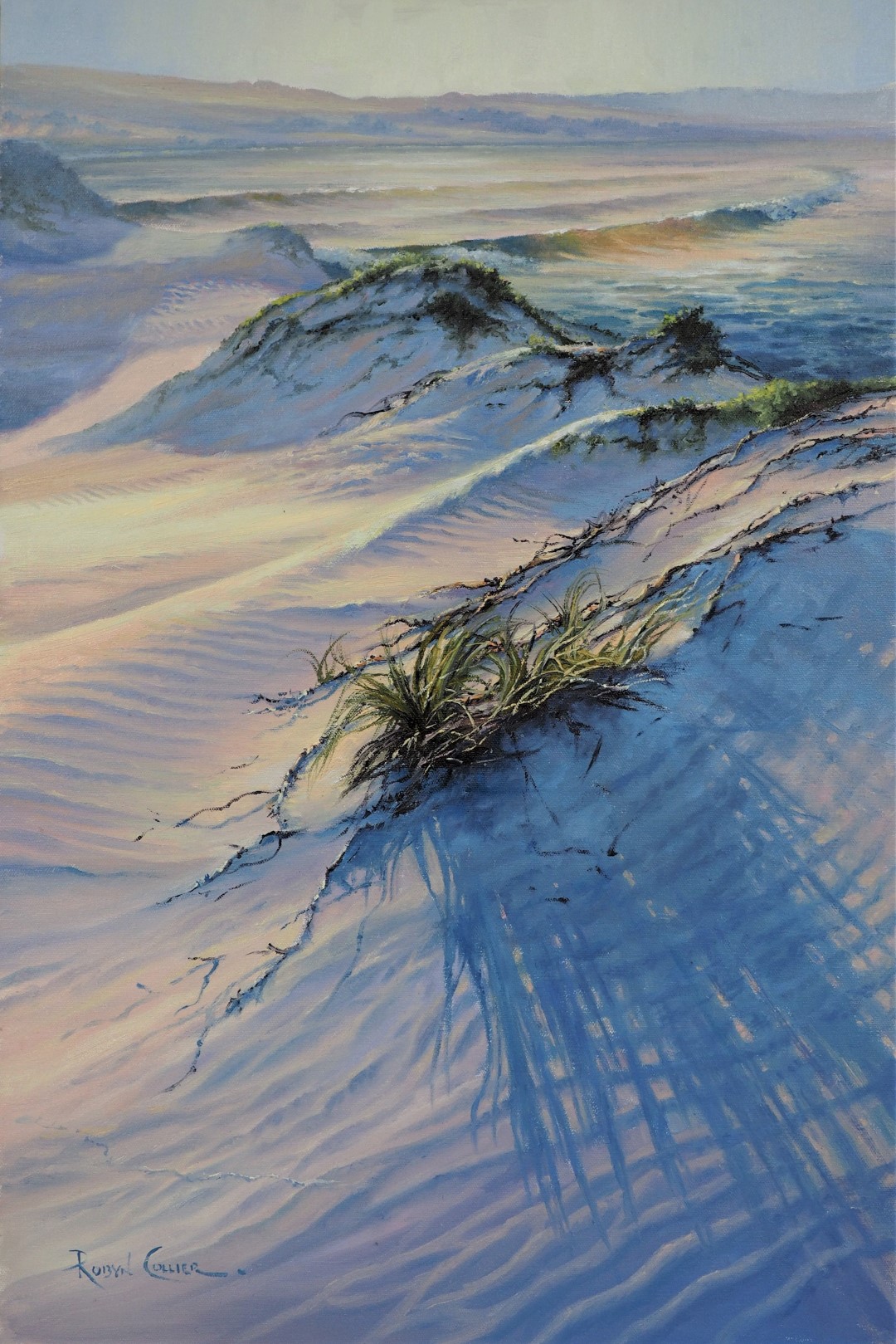 OLYMPUS DIGITAL CAMERA OLYMPUS DIGITAL CAMERA