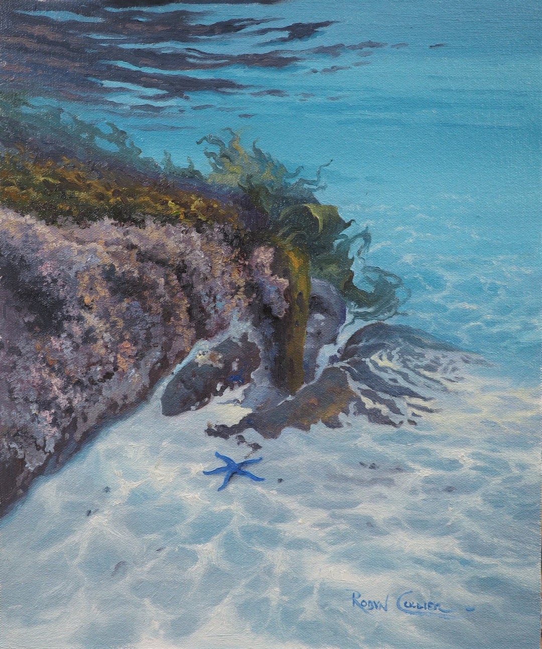 OLYMPUS DIGITAL CAMERA OLYMPUS DIGITAL CAMERA