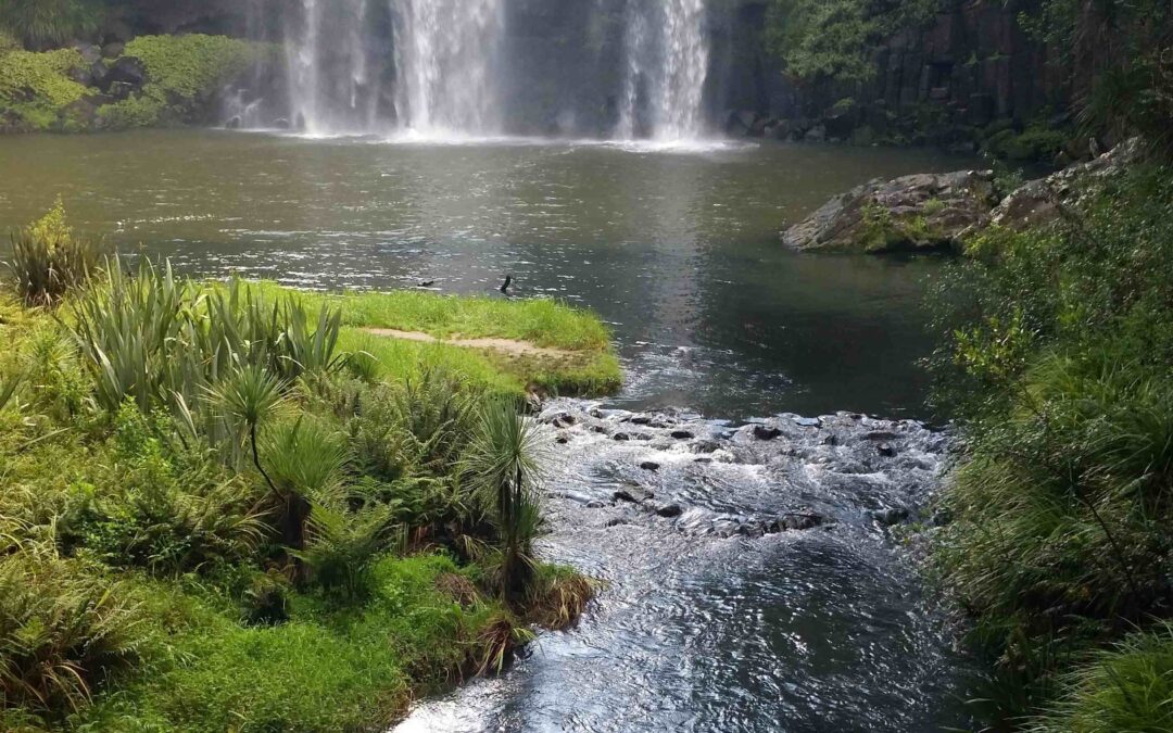 GOLD COAST AND NOOSA   4- 16TH SEPTEMBER 2026